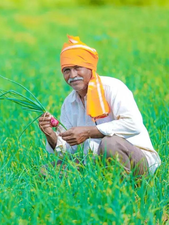 Kisan Vikas Patra Update : किसानों के लिए खुशखबरी, अब जल्दी दोगुना होगा किसानों का पैसा