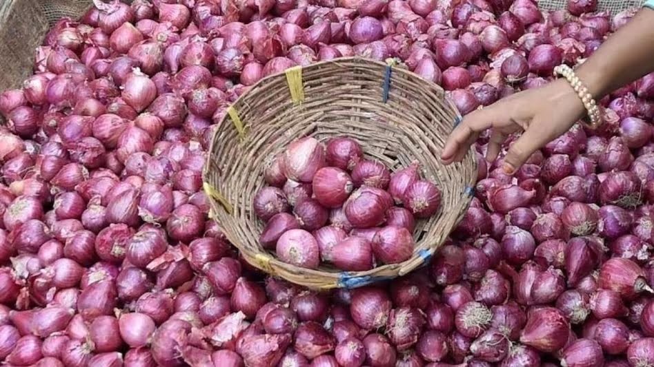 onion