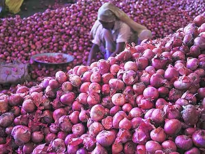 onion