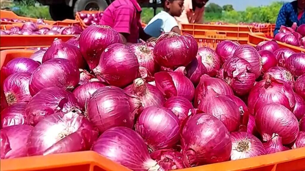 onion